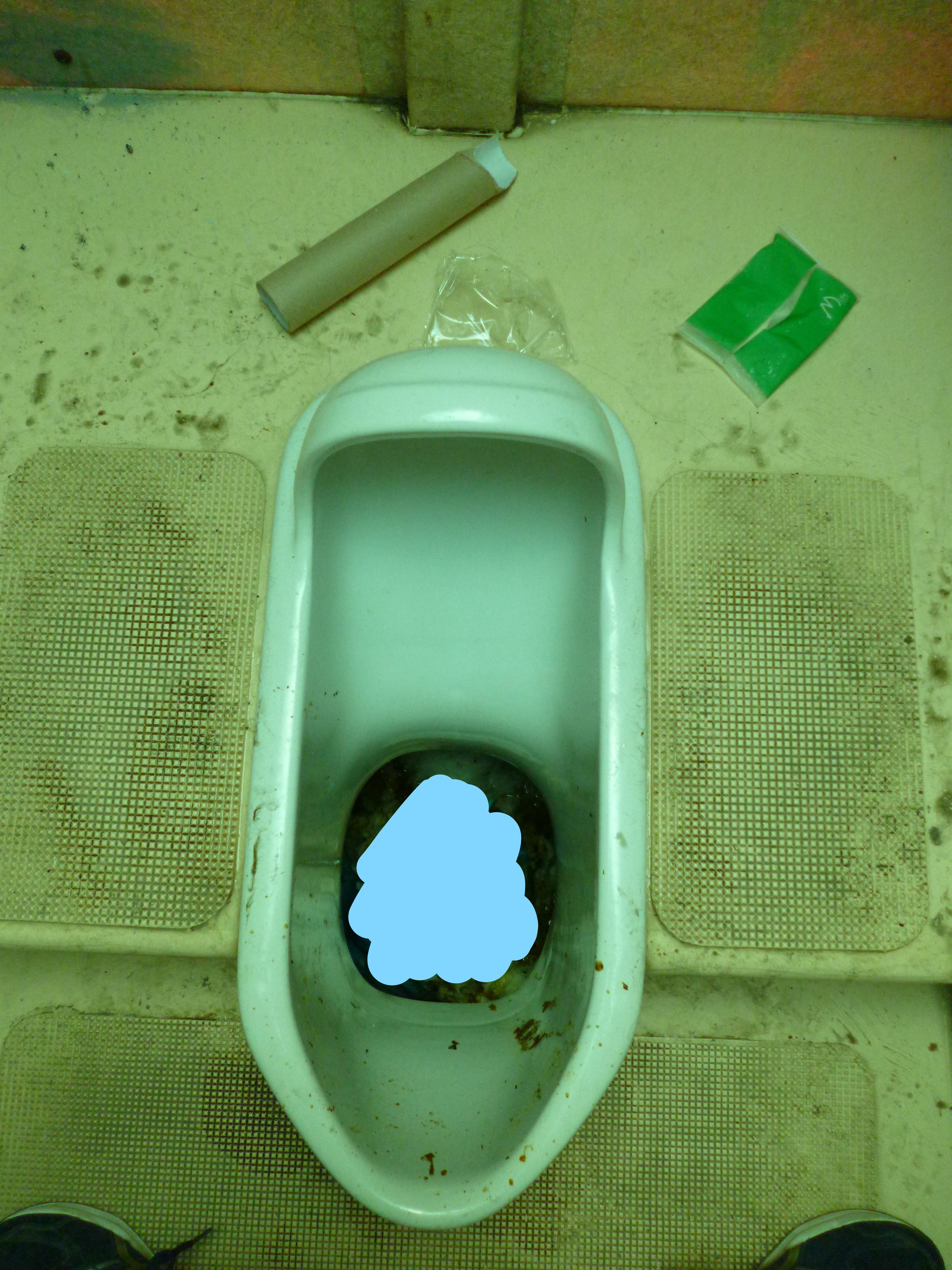 相模川汲み取り式公衆トイレ Shirokuma Bihitasu的トイレガイド ᴥ