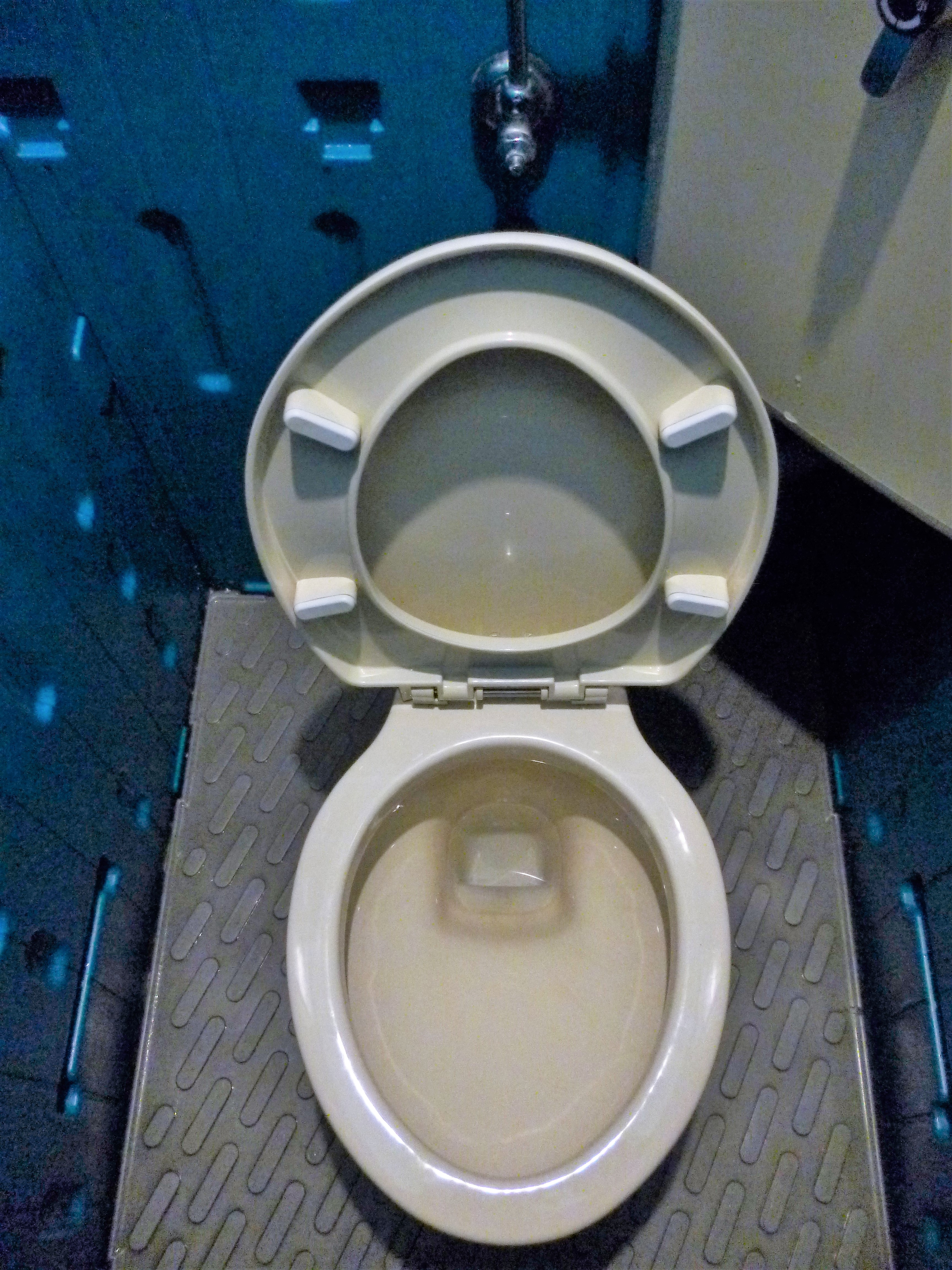 仮設トイレ 町田駅 Jr横浜線 Shirokuma Bihitasu的トイレガイド ᴥ 仮設トイレ 町田駅 Jr横浜線 Shirokuma Bihitasu的トイレガイド ᴥ