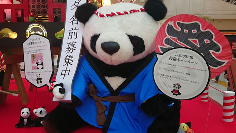 20180723_上野パンダ2