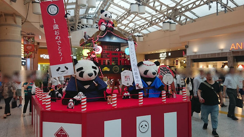 20180723_上野パンダ3