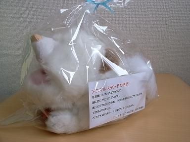 RIMG5929