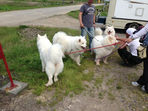 942273_268064343338027_307864046_n