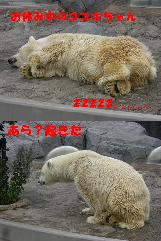 5672a917.jpg