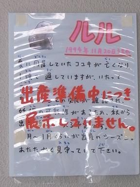 RIMG4828