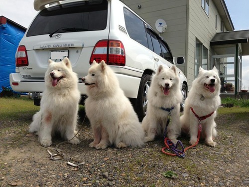 936343_268064183338043_1773253086_n