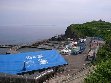 RIMG2653