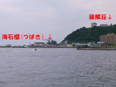 RIMG2736