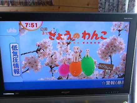 RIMG8046