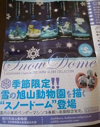 RIMG3564