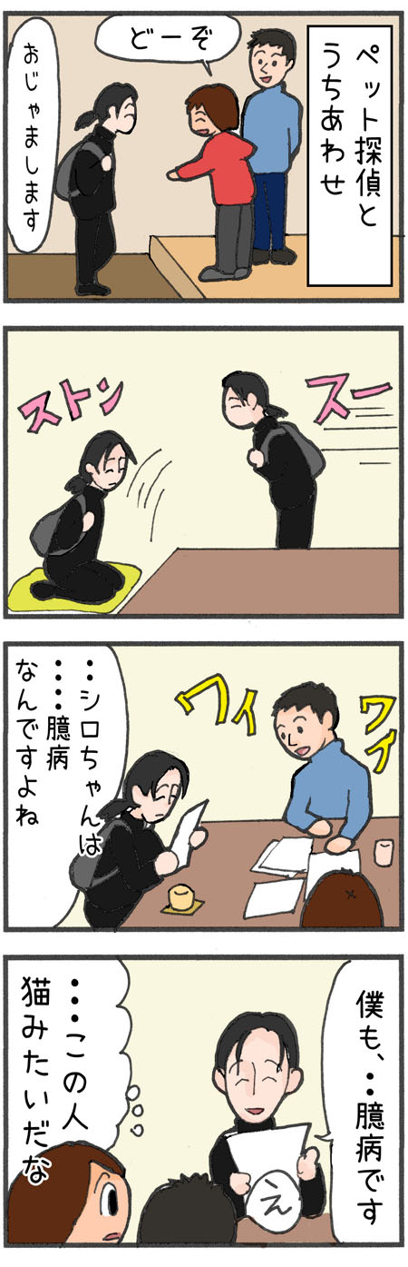 迷子猫探しの記録14 迷子猫が帰ってこない理由は 迷子猫探しの記録 シロチャンどこいった 迷子猫探しの記録14 迷子猫が帰ってこない理由は 迷子猫探しの記録 シロチャンどこいった