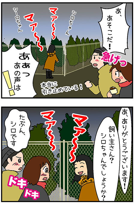 20201209mairo043-3