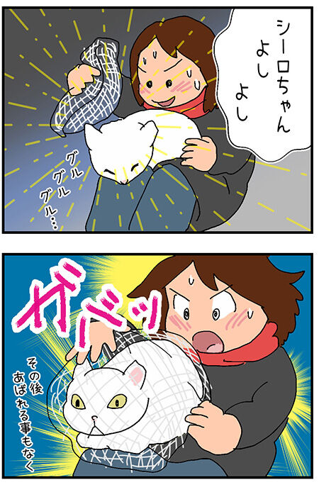 20201225maigo045-1