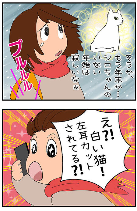 20201105maigo038-4