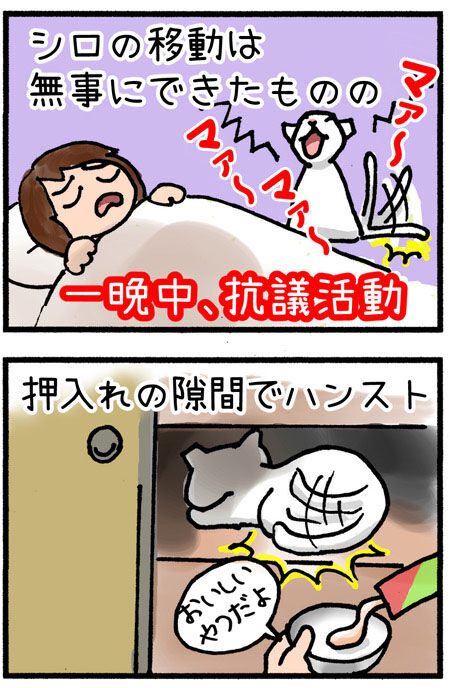 20190707maigo002-1