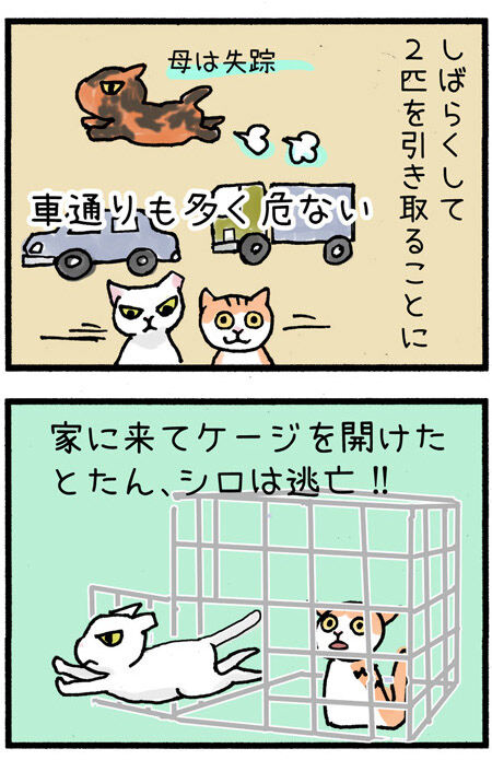 20190729maigo005-3