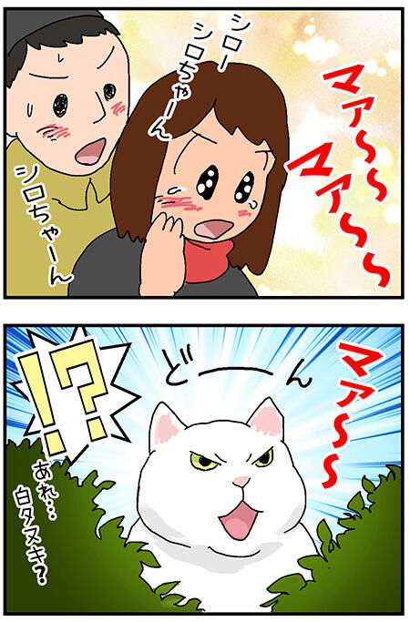 20201209mairo043-4