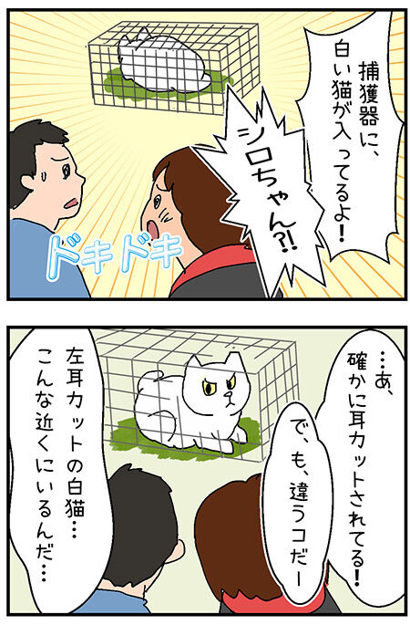 20201110maigo039-3