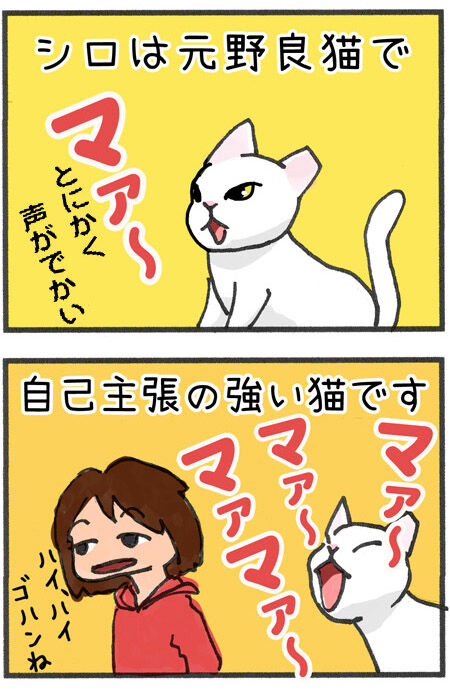 20190703_maigo001-3