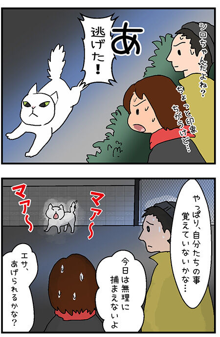 20201217maigo044-1