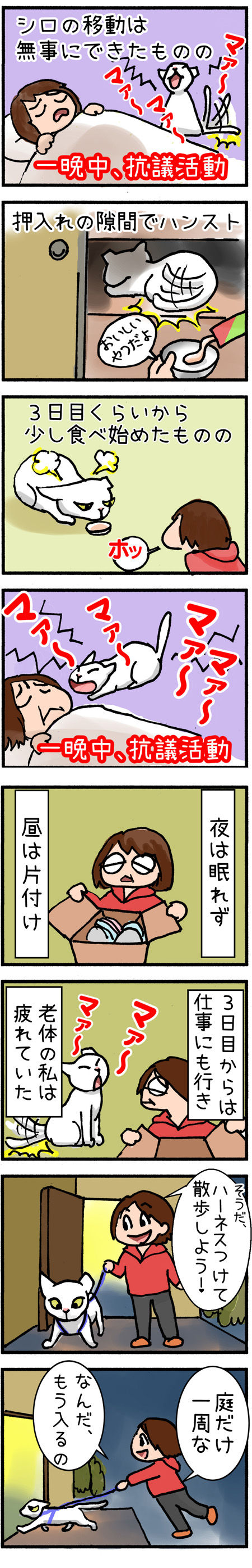 20190707maigo002