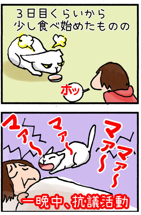 20190707maigo002-2
