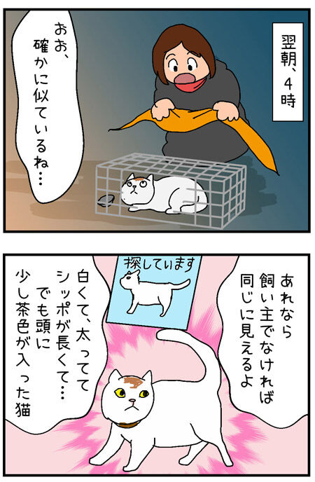 20200816maigo037-1