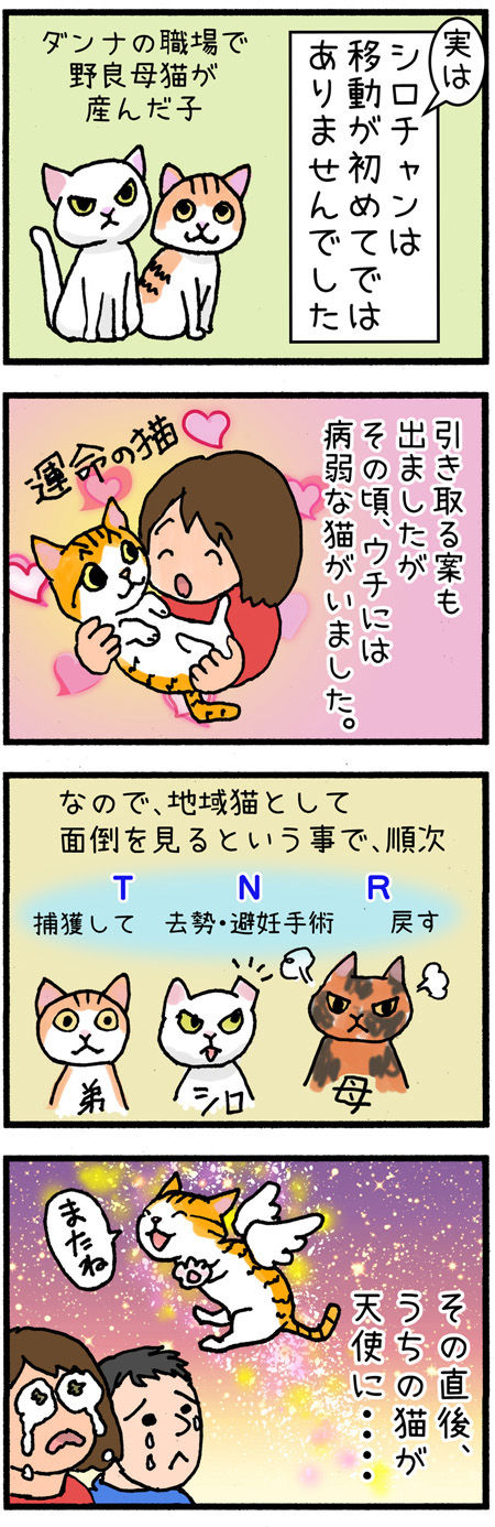 20190729maigo005-1