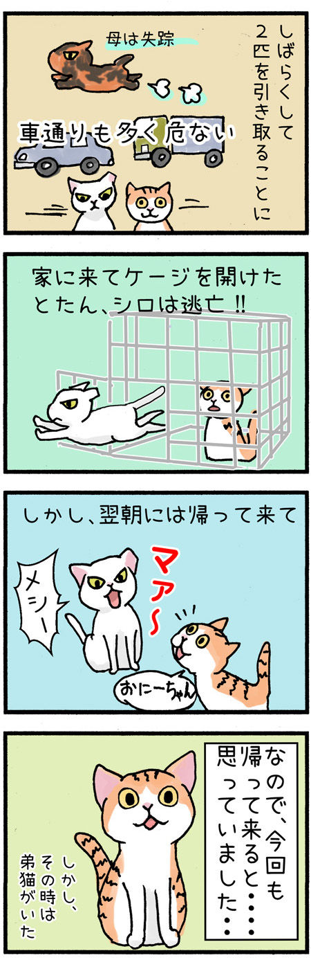20190729maigo005-2