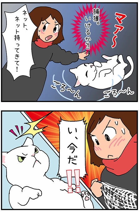 20201217maigo044-4
