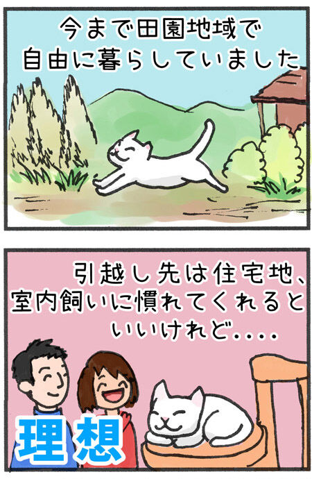 20190703_maigo001-2