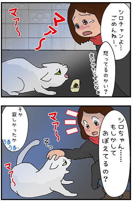 20201217maigo044-3