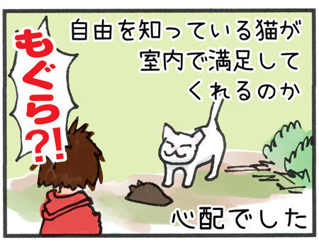 20190703_maigo001-4