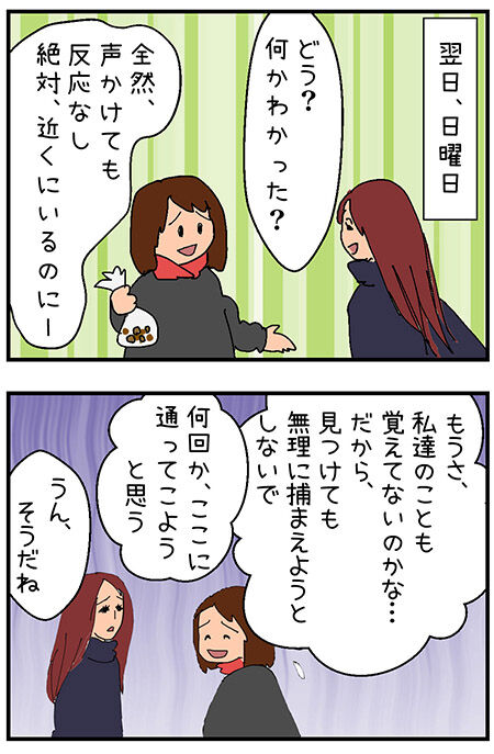 20201201maigo042-3