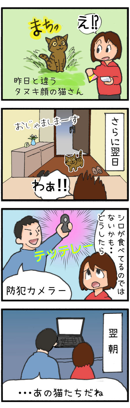 20190831maigo009-2