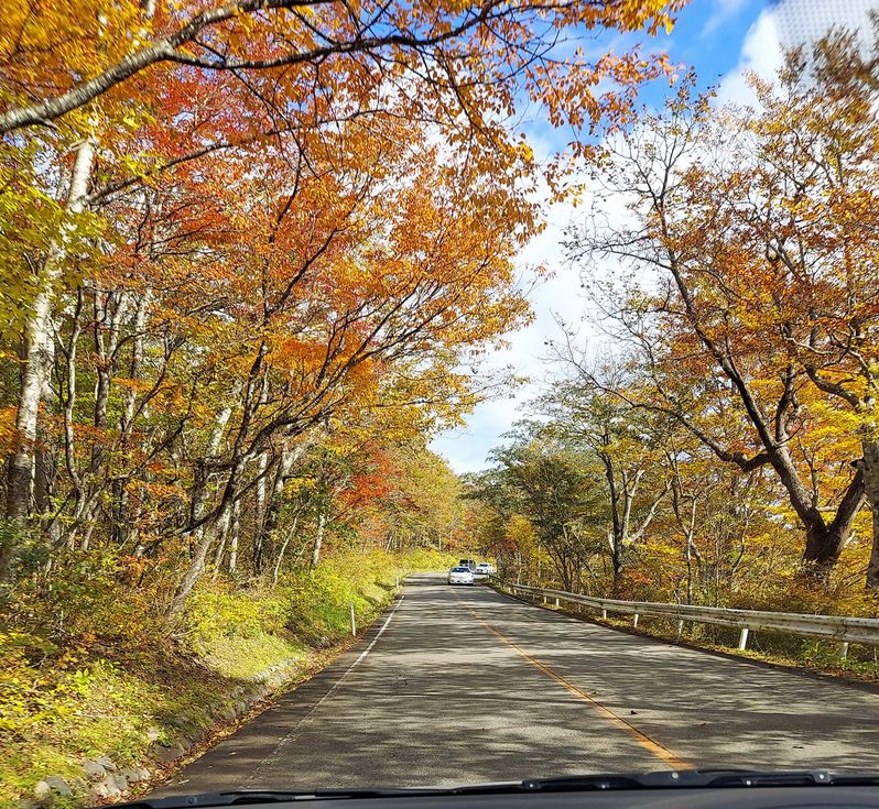 蔵王の紅葉は三階の滝付近が綺麗でした 白石まちづくり２