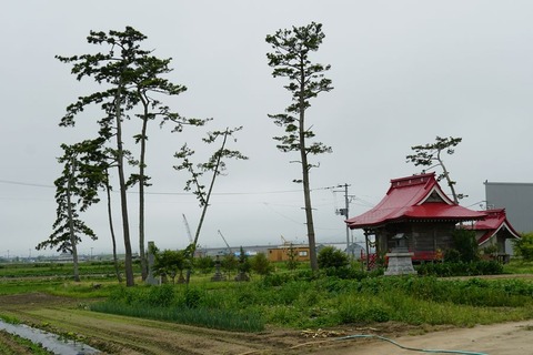 DSC02581.jpg2