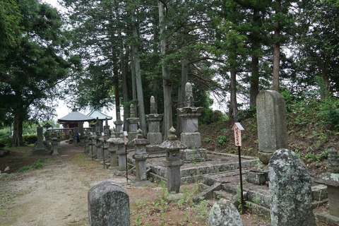 DSC02517.jpg2