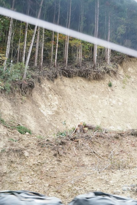 DSC03934.jpg2