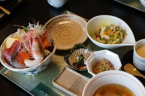 DSC02539.jpg2