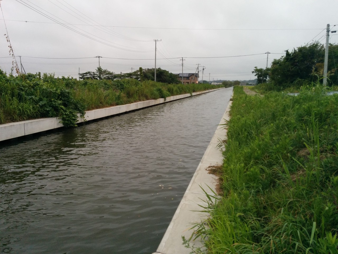 バス釣り 霞ケ浦水系 曇り時々雨 えびみそ釣行記 バス釣り 霞ケ浦水系 曇り時々雨 えびみそ釣行記