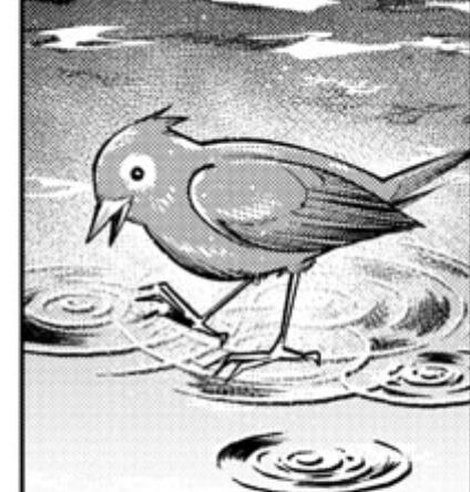 隕鉄鳥（シュティレ）