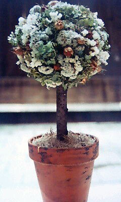 紫陽花 アジサイ のトピアリー 花言葉 花からのプレゼント 花言葉 花からのプレゼント 花言葉がいっぱい