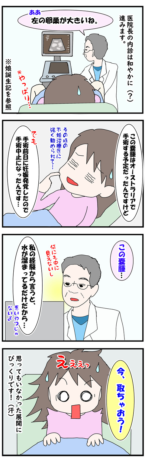 164 息子誕生記17 不妊治療 内診で やっぱり指摘されたこと 国際理系カップル Pとシロウサの海外放浪記 備忘録 164 息子誕生記17 不妊治療 内診で やっぱり指摘されたこと 国際理系カップル Pとシロウサの海外放浪記 備忘録