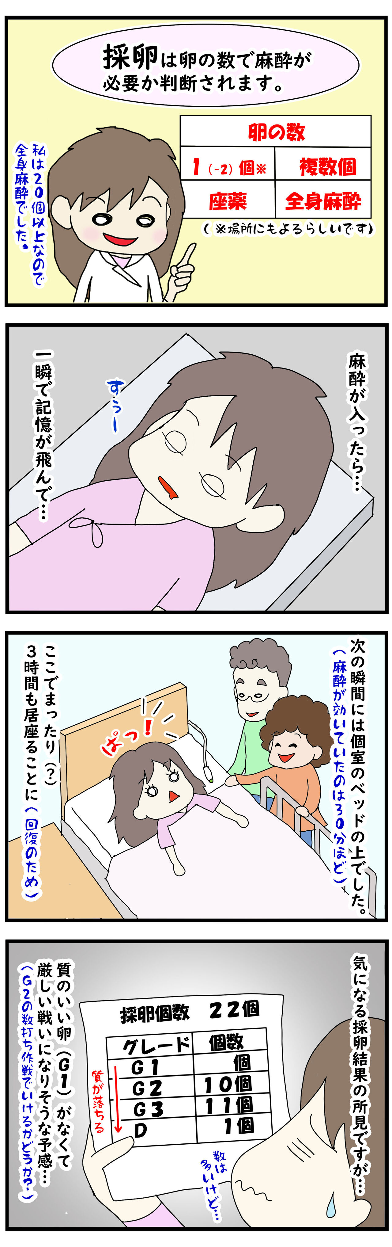 1 息子誕生記33 不妊治療 採卵とその結果は 国際理系カップル Pとシロウサの海外放浪記 備忘録