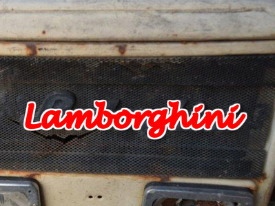 20201128 276 lamb