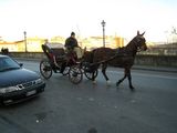 070119-carrozza1