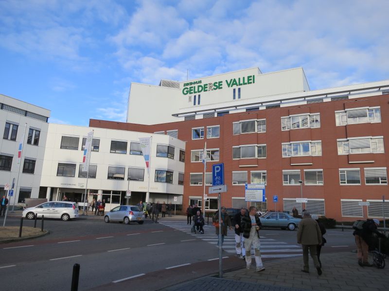 オランダの最近のニュース 13年3月 ミラノ駐在ブログ