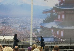 JapanF11