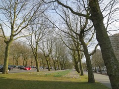 AmstelPark29