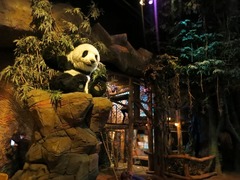 Efteling208